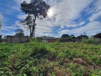 land_lot em Rua Severo Veloso, Piumhi - Piumhi - MG