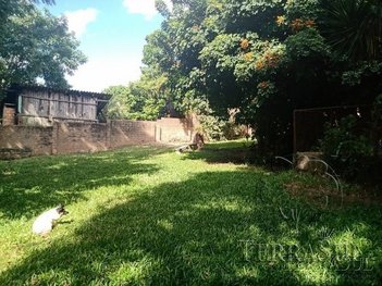 land_lot em Avenida Belém Velho, Vila Nova - Porto Alegre - RS