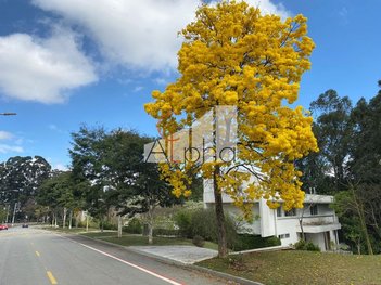 house em Avenida São Paulo, Residencial Tamboré - Barueri - SP