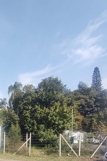 land_lot em Juca Batista, Cavalhada - Porto Alegre - RS