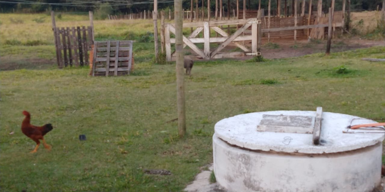 Foto 01