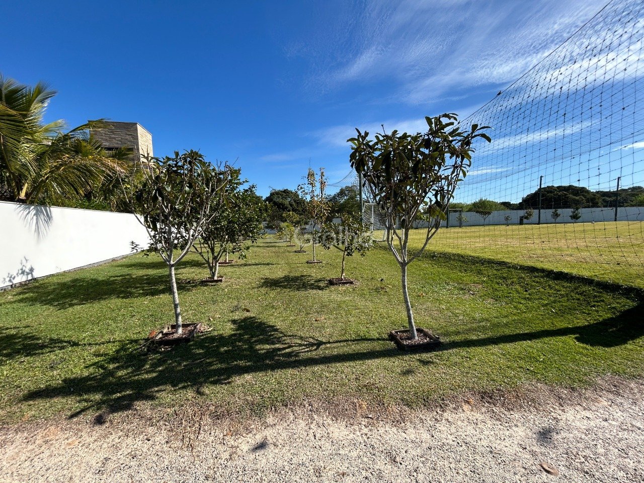 15 - ÁRVORES FRUTÍFERAS