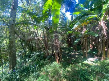 land_lot em Rosa, Pantanal - Florianópolis - SC