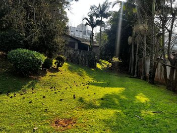 land_lot em Das Laranjeiras, Bosque das Mansões - São José - SC