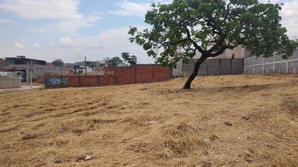 98a0f984b0e3373bc7a7bba0256f7369_b75e8ea7-f3ce-486e-856e-dc0f315619d9