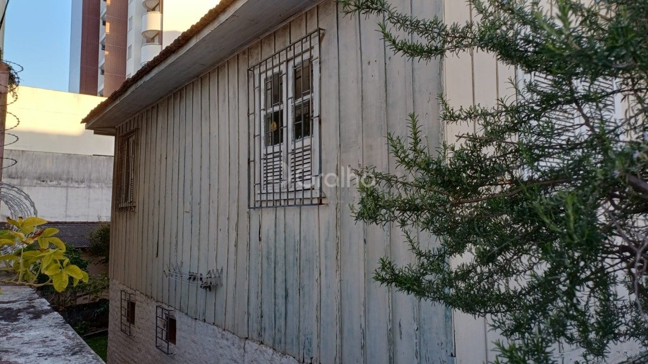 FOTO 03