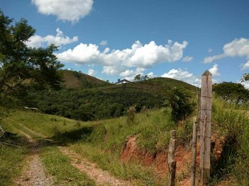 agricultural em Praça Joaquim Faria Lopes, Rocinha - Guaratinguetá - SP