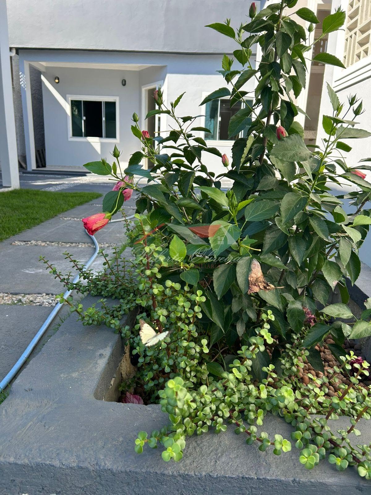 image-25
