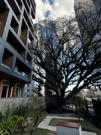 apartment em Rua Santos Dumont, Nossa Senhora de Lourdes - Caxias do Sul - RS