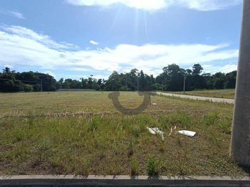 land_lot em Avenida Prefeito Orlando Oscar Baumhardt, Linha Santa Cruz - Santa Cruz do Sul - RS