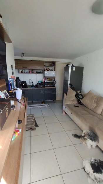 apartment em Rua Pioneiro João Perin, Parque Tarumã - Maringá - PR