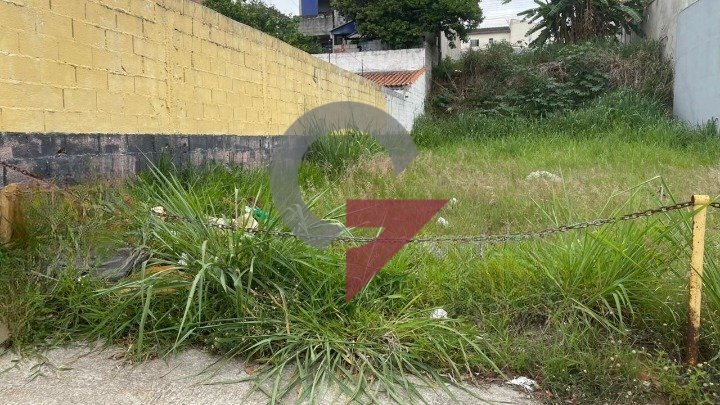 WhatsApp Image 2025-11-19 at 10.26