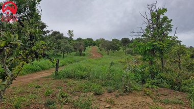 agricultural em Condomínio Quinta Santa Bárbara, Setor Habitacional Jardim Botânico - Brasília - DF