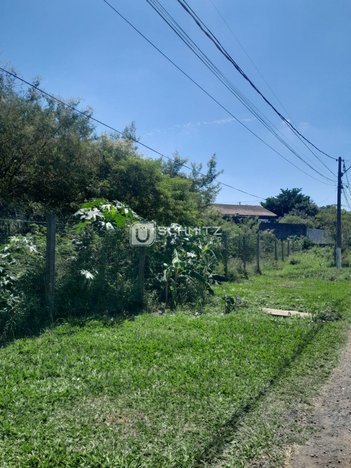 land_lot em Rua Progresso, Santa Cruz - Gravataí - RS