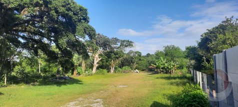 land_lot em Rodovia Francisco Magno Vieira, Campeche - Florianópolis - SC