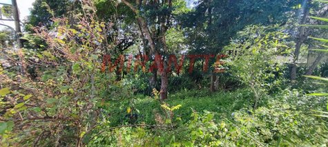 land_lot em Coronel Agostinho Da Fonseca, Tucuruvi - São Paulo - SP