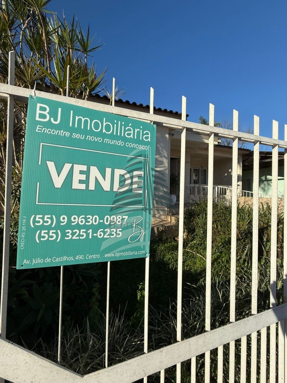 WhatsApp Image 2025-09-12 at 14.25