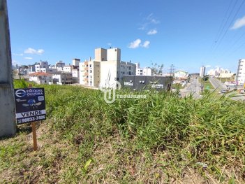 land_lot em Rua Tomáz Domingos da Silveira, São Sebastião - Palhoça - SC