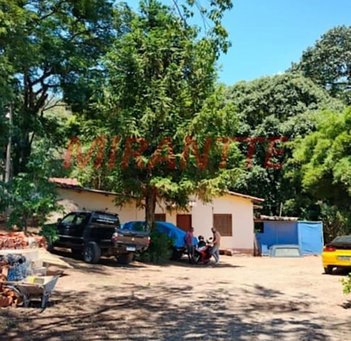 agricultural em Avenida Coronel Sezefredo Fagundes, Jardim das Pedras - São Paulo - SP