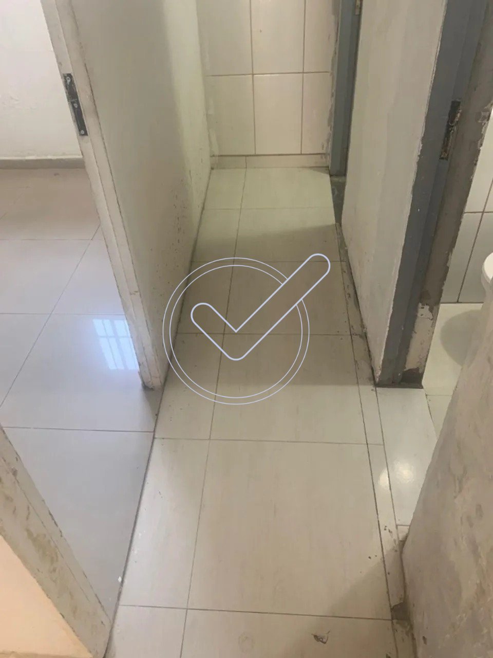 WhatsApp Image 2025-06-06 at 07.31