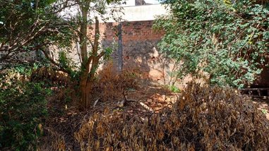 land_lot em Rua Tefé, Aparecida - Londrina - PR