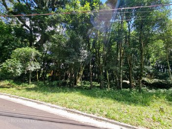 land_lot em Rua Prefeito Waldemar Frederico Weber, Lagos do Bosque - Gramado - RS