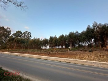 commercial_building em Estrada Desvio Blauth, Nova Sardenha - Farroupilha - RS