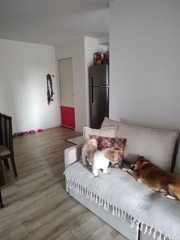 apartment em Rua da Chibata, Vila Andrade - São Paulo - SP