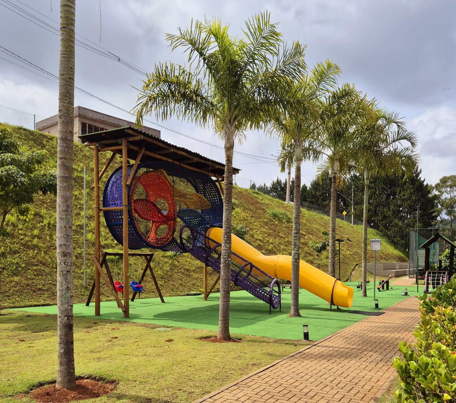 image-3