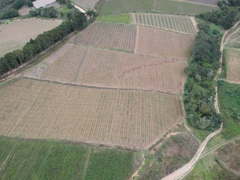agricultural em Rua Doutor Armando Salles de Oliveira, Centro - São Miguel Arcanjo - SP
