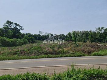 land_lot em Rodovia Caetano Chiuchetta, Colinas - Concórdia - SC