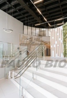 Captura de tela 2025-05-28 155201