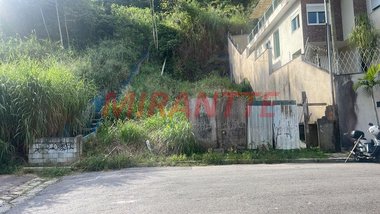 land_lot em Rua Antoninho Marmo, Vila Irmãos Arnoni - São Paulo - SP