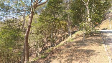 land_lot em Rodovia BR-040, Araras - Petrópolis - RJ