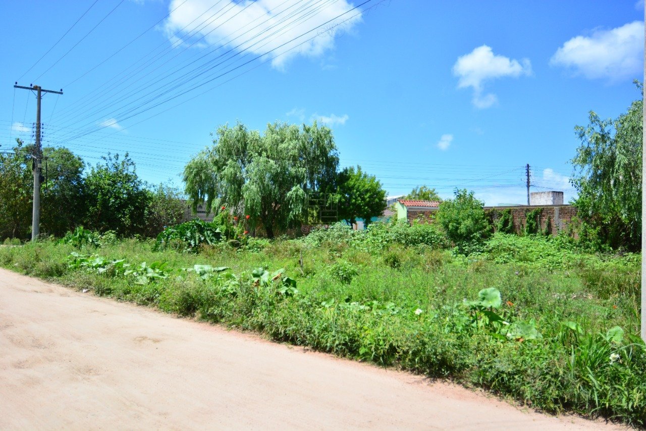 terreno