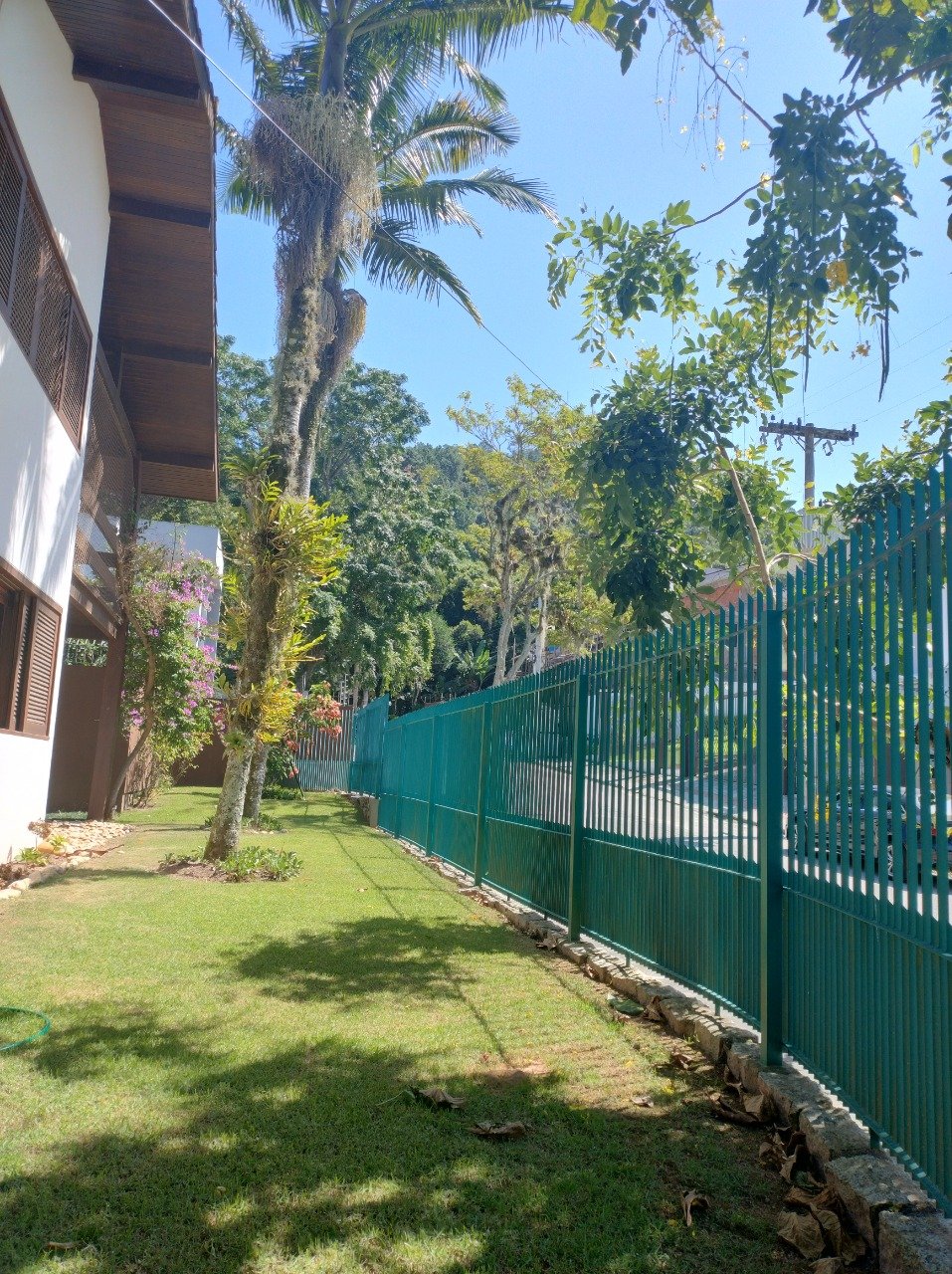 laterais amplas