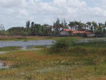 commercial_land_lot em Rodovia BR-222, Genipabú - Caucaia - CE
