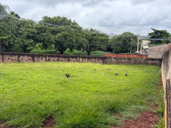 land_lot em Rua Olavo Fagin, Jardim Santa Luzia - Santa Bárbara D'Oeste - SP