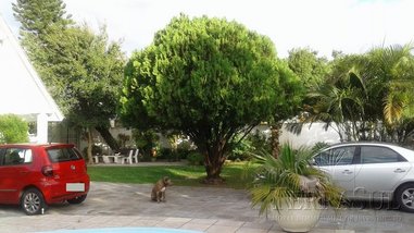 house em Orleaes, Guarujá - Porto Alegre - RS