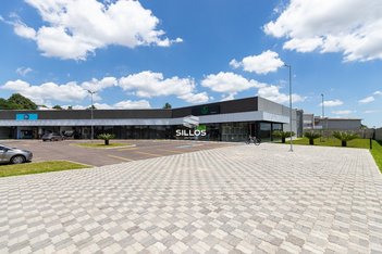 business em Brasil, Eucaliptos - Fazenda Rio Grande - PR