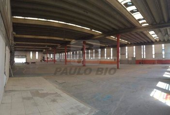 industrial em Avenida Manoel Monteiro de Araújo, Parque São Domingos - São Paulo - SP