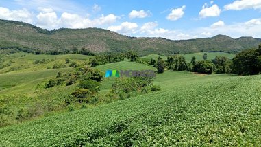 agricultural em Rodovia MG-167, Amadeu Miguel - Três Corações - MG