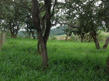 land_lot em Rua Quatorze, Grajaú - Divinópolis - MG