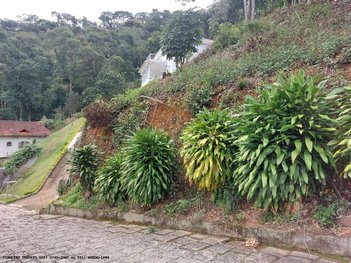 land_lot em Rua Professora Carmem Gomes, Panorama - Teresópolis - RJ