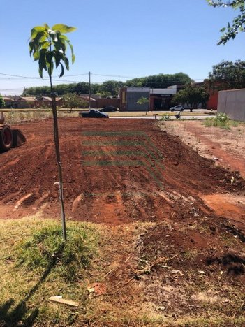 land_lot em Avenida Maximilliam Max Maggioni, Jardim Cristo Redentor - Ribeirão Preto - SP