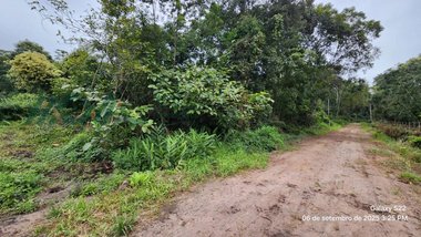 land_lot em Rua 2740 Apemondi, Pontal do Norte - Itapoá - SC