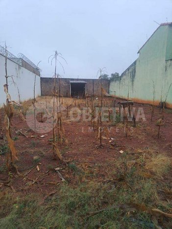 land_lot em Rua dos Pica-Paus, Jardim das Palmeiras - Uberlândia - MG