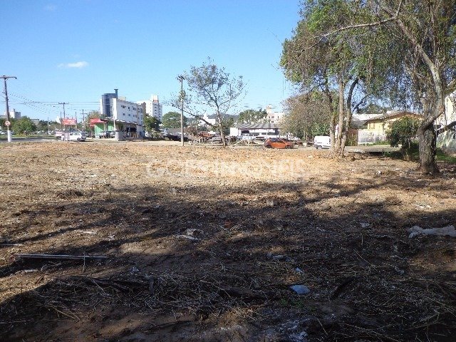foto02
