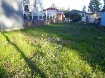 land_lot em Rua Gelsemino Molardi, Charqueadas - Caxias do Sul - RS