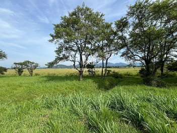 land_lot em Rodovia BR-101, Santa Luzia - São Gonçalo - RJ